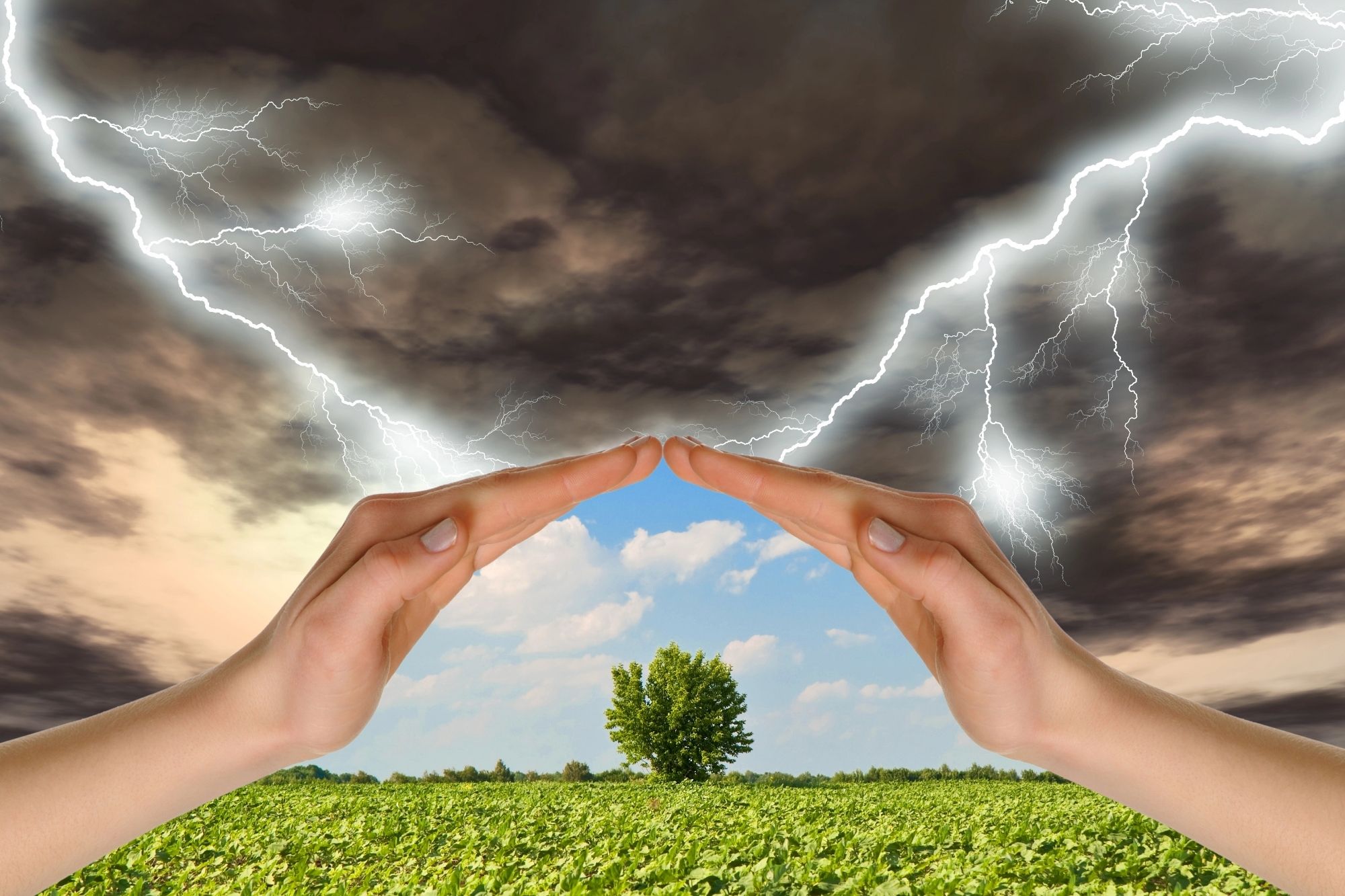 trust fund for my child with additional needs protects her